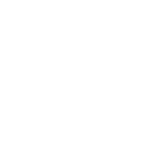 Logo-Professional-ForYou-bianco-small